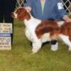 New Champion June 2009 at 9 months