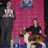 Best of Breed-Bred By & BOS at the 2009 AKC Eukanuba Nat'l Championship